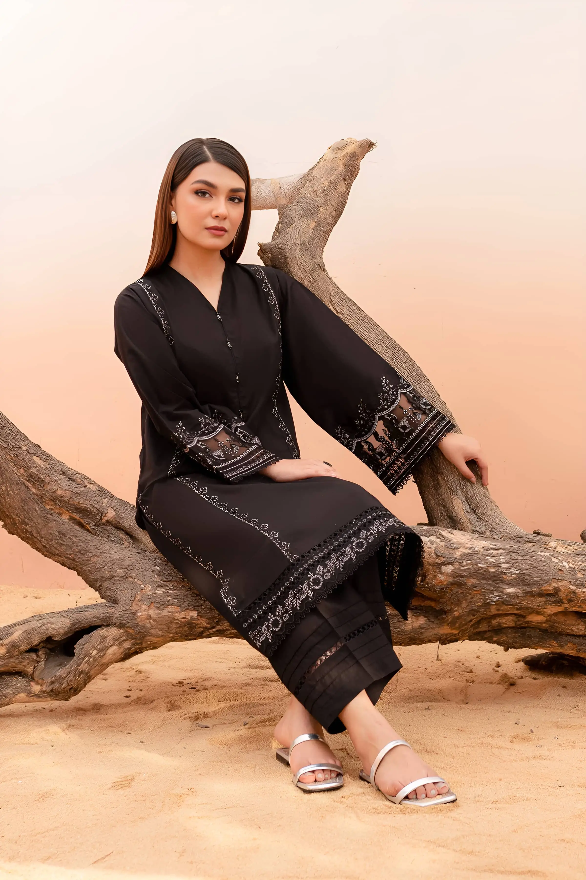 Best Seller - Black Rose - 2Pc Stitched Embroidered Dress - Image 3
