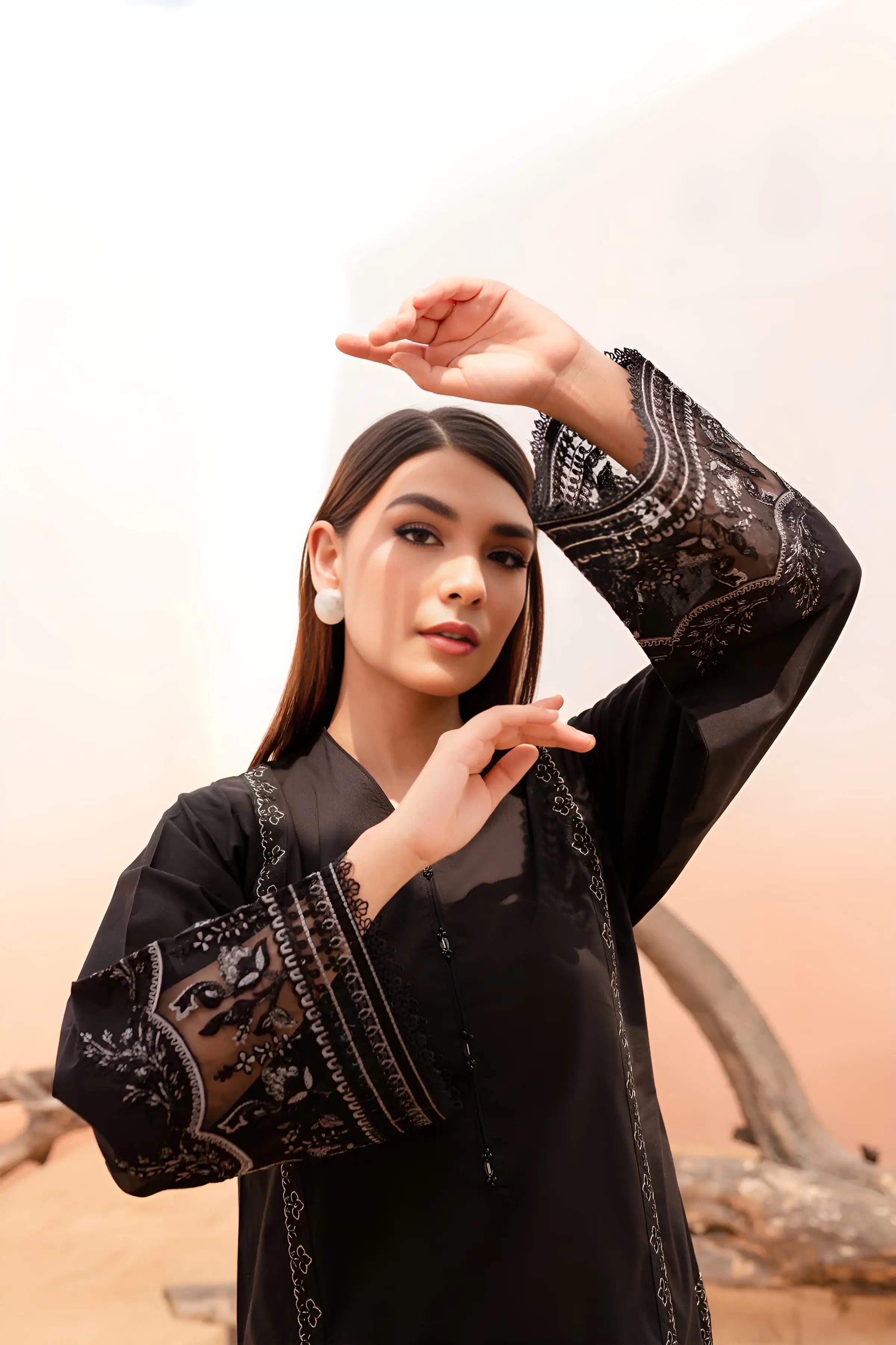 Best Seller - Black Rose - 2Pc Stitched Embroidered Dress - Image 5