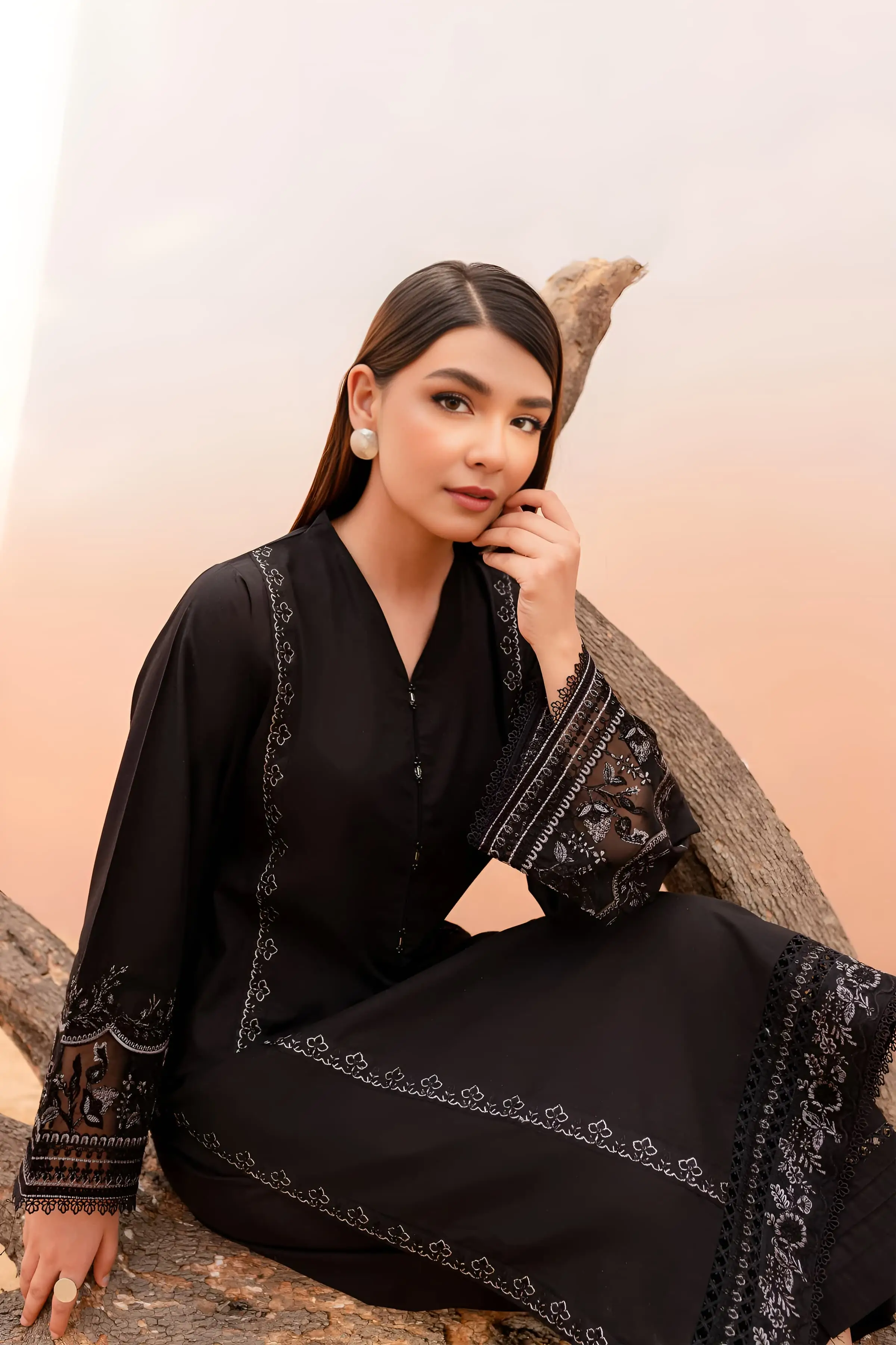 Best Seller - Black Rose - 2Pc Stitched Embroidered Dress - Image 6