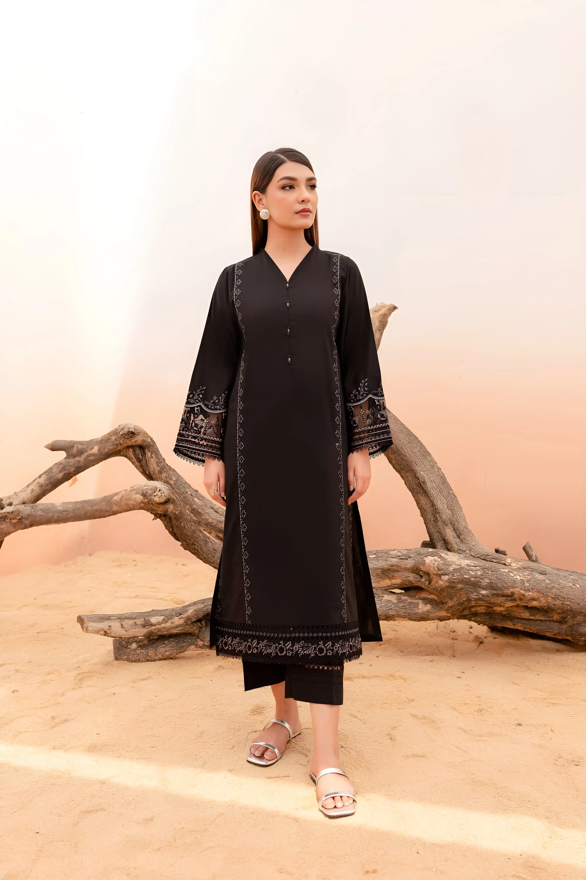 Best Seller - Black Rose - 2Pc Stitched Embroidered Dress - Image 7