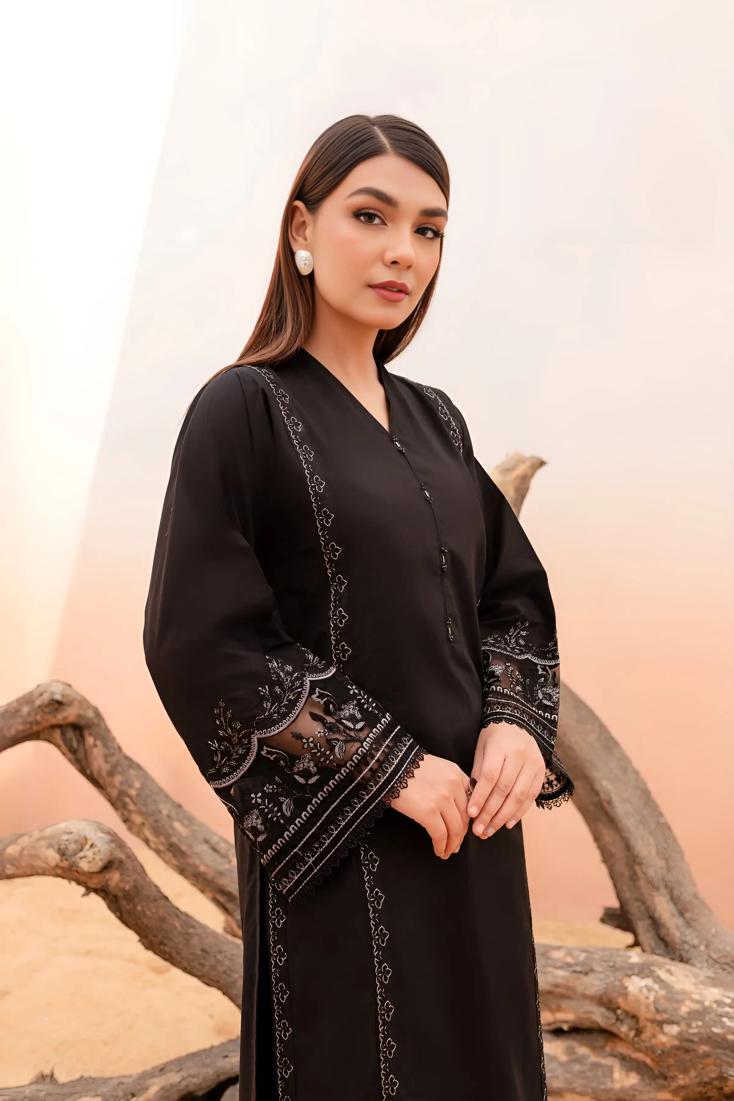 Best Seller - Black Rose - 2Pc Stitched Embroidered Dress - Image 8